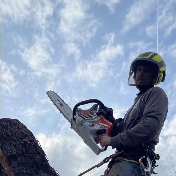 Meet your Posher, Brandon - Picture 1 of 1